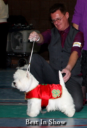 2011 Best_In_Show_Web