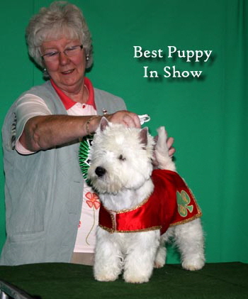 2011 Best_Puppy_In_Show_web1