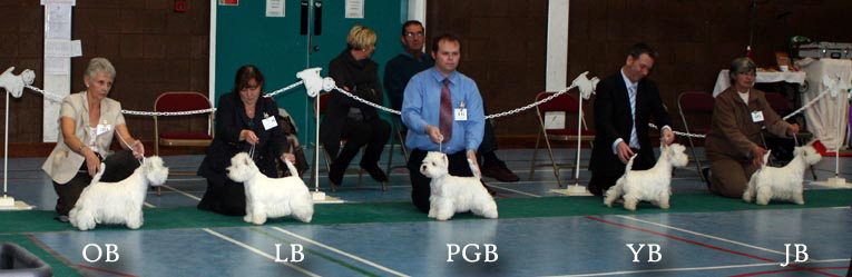 2011 Bitch_Challengeweb1