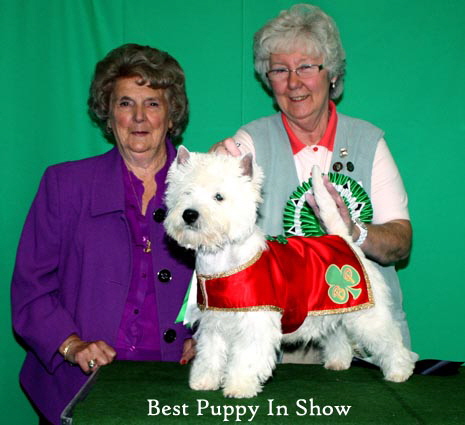 2011 Judge_and_BPIS_web