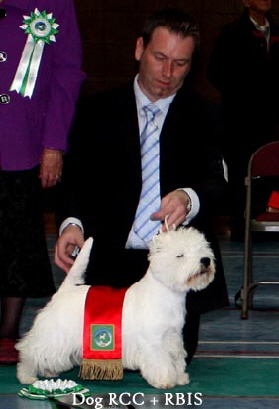 2011 RBISweb