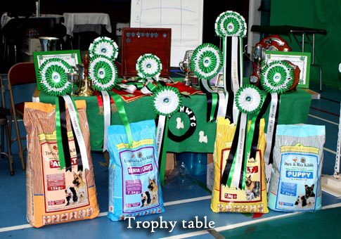 2011 Trophy_Tableweb1