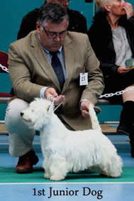 2012 1st-Junior-Dogweb-2012