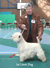 2012 1st-Limit-Dog-web-2012