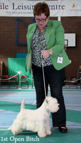 2012 1st-Open-Bitchweb-2012