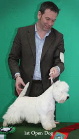 2012 1st-Open-Dogweb-2012