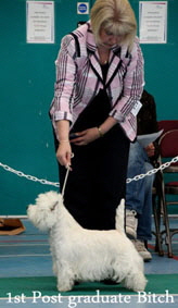 2012 1st-Post-Graduate-Bitch-CC-BOS-2012