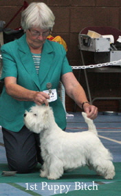 2012 1st-Puppy-Bitch3-2012