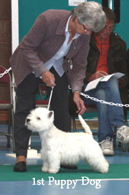 2012 1st-Puppy-Dog-web-2012