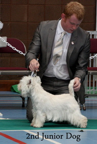 2012 2nd-Junior-dog-web-2012