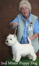 2012 2nd-Minor-Puppy-Dogweb-2012