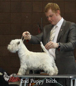 2012 2nd-Puppy-Bitchweb-2012