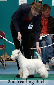 2012 2nd-Yearling-Bitchweb-2012