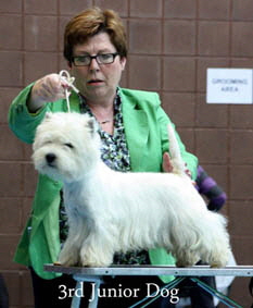 2012 3rd-Junior-dogweb-2012