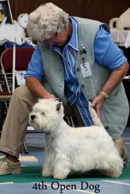 2012 4th-Open-Dogweb-2012