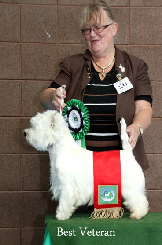 2012 Best-Veteranweb-2012