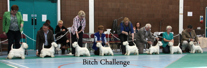 2012 Bitch-Challengeweb-2012