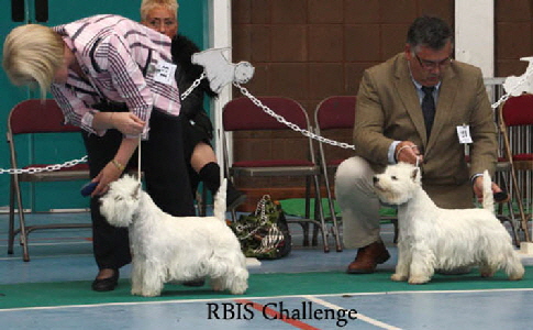 2012 Challenge-for-RBISweb-2012