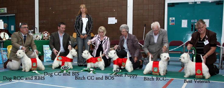 2012 Winnersweb-2012