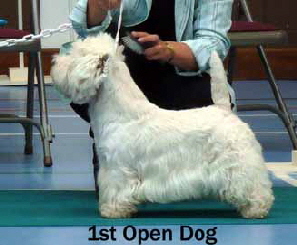 2013 1st-Open-Dogweb3