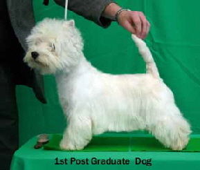 2013 1st-Post-Graduate-Dogweb2