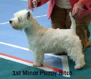 2013 MPB1