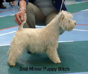 2013 MPB2