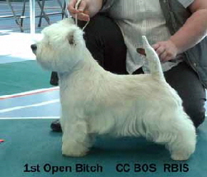 2013 OB1