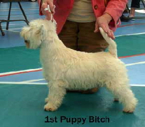 2013 PB1