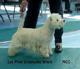 2013 PGB1