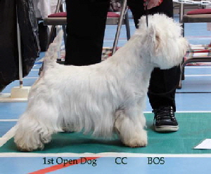 2014 1st-OD-CC-BOS