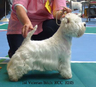 2014 1st-VB-RCC-RBIS