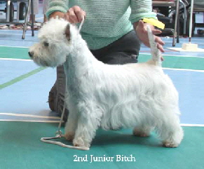 2014 2ndJB