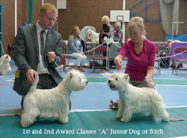 2014 Award-Classes-A