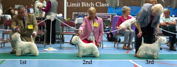 2014 Limit-Bitch-Class