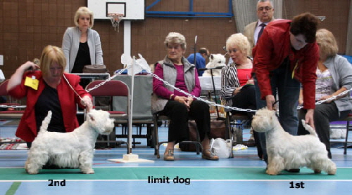 2014 Limit-dog