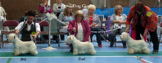 2014 Open-Dog-Class