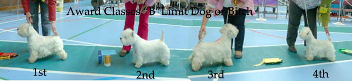 2014 awards-class-b-Limit-Dog-or-Bitch