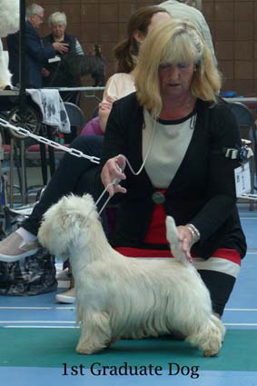 2015 1st-Graduate-Dog