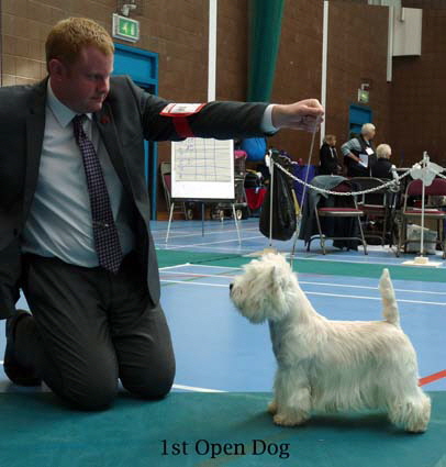 2015 1st-Open-Dog