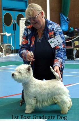 2015 1st-Post-graduate-Dog1