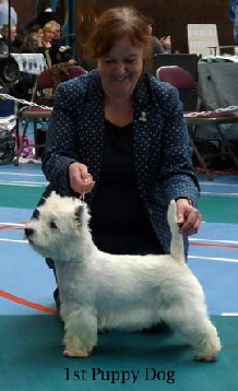 2015 1st-Puppy-Dog