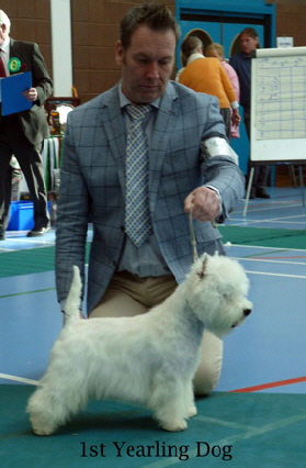 2015 1st-Yearling-Dog1
