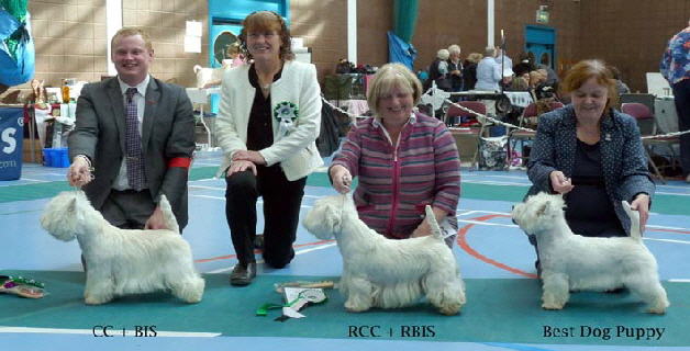 2015 Dog-Winners1