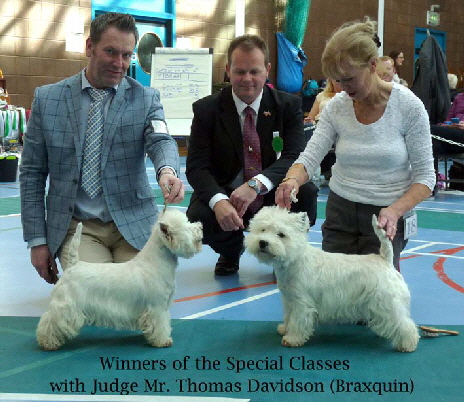 2015 Special-Classes-Winners