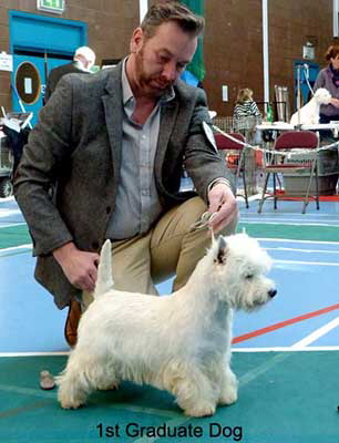 1st Graduate dog web