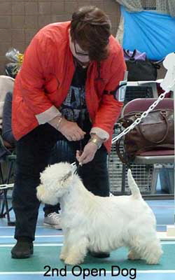 2nd Open Dog RCC2web