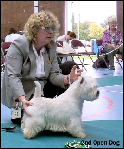 2nd Open Dogwe