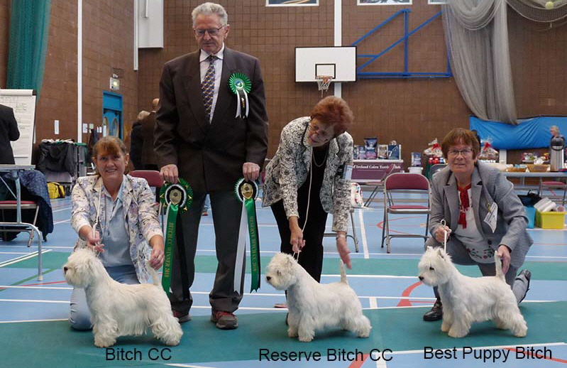 BCC RCC and BPB