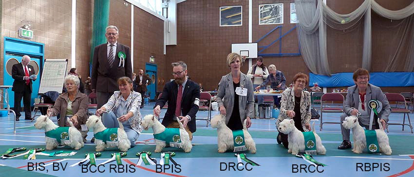 BIS and Best veteran RBIS RCC winners BP and RBP